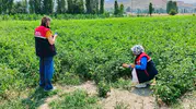 Afyonkarahisar'da toprak nöbeti: Tarım arazileri mercek altında