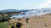 Menteşe'de alevler zeytinlikleri küle çevirdi: Ekipler seferber oldu