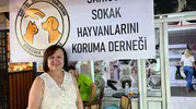 Sarıgöl’de gönüllülerden can dostlara büyük vefa: Sokak hayvanları için el ele verdiler