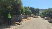 Bodrum’da yangın önlemleri için seferberlik: Binlerce metrekarelik alan temizlendi