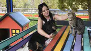 Kuşadası’nda iyilik hareketi: Binlerce can dostuna yeni bir hayat sundular