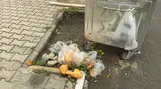 Bolvadin'de vicdan sızlatan görüntüler: Çöp konteynerleri boş ama sokaklar atık dolu