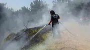 Aydın'da yangın mesaisi: İtfaiye ekipleri bir haftada yüzlerce noktaya yetişti