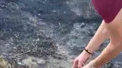 Pamukkale'deki yangın felaketinde duygulandıran anlar: Alevlerden kurtarılan kaplumbağaya şefkat eli