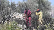 Torbalı’da ormanlık alanda korkutan yangın: Ekiplerin zamanla yarışı sonuç verdi