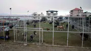 Alevler kapıya dayandı, Mutaflar Mahallesi’nde halı saha hayvan barınağına dönüştü