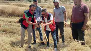 Tavşanlı ovasında hasat mesaisi: Biçerdöverlerde sıkı denetim dönemi