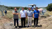 Milas’ta zeytin seferberliği: Hem doğa kazanıyor hem yerel ekonomi büyüyor