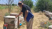 Köşk’te arıcıların yüzünü güldürecek çalışma: Destekler için sahaya indiler