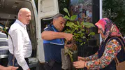 Babadağ'da toprak berekete kavuşuyor: Belediyeden üreticiye dev fidan desteği