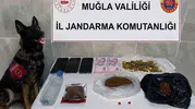 Muğla'da suç örgütlerine geçit yok: Bir ayda 24 operasyonla darbe vuruldu