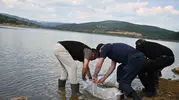 Uşak’ın göletleri 433 bin yeni misafirini ağırlıyor: Doğal yaşam için dev seferberlik