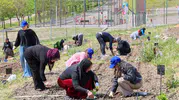 Beton binaların arasında yeşil mucize: İzmirli kadınlar toprağı berekete dönüştürüyor