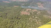 Menteşe'de ormanlık alanda korkutan yangın: Ekiplerin hızlı müdahalesi faciayı önledi