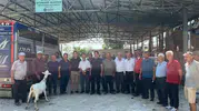 Seydikemer’de yangınzede üreticilerin yüzü gülüyor: 114 küçükbaş hayvan teslim edildi