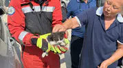 Menteşe'de yürekleri ağza getiren kedi kurtarma operasyonu