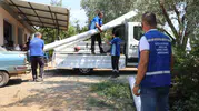 Köyceğiz'de selin vurduğu seralar için Büyükşehir'den üreticiye nefes aldıran hamle