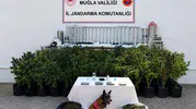 Bodrum'da zehir tacirlerine jandarma darbesi: Evini laboratuvara çevirmiş