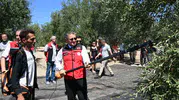 Ege'nin altın sarısı bereketi Dikili'de dallardan toplandı