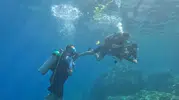 Marmaris’in gizli hazinesi suyun altında: Turistler derin maviliğe hayran kalıyor