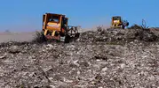 Küllerinden doğan ormanlar: Aliağa ve Foça’da yeşil seferberlik