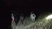 Çivril’de kayıp sürüsünü jandarma buldu: Çobanın yüzü güldü