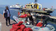 İnciraltı açıklarında kaçak avcılık operasyonu: Tonlarca midye yeniden sulara bırakıldı