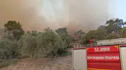Alevlerin arasından gelen yaşam mücadelesi: İtfaiyeden duygulandıran kurtarma