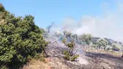 Çine'de alevlerle zorlu mücadele: Hallaçlar'da yangın alarmı
