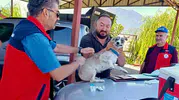 Afyonkarahisar’da sevimli dostlara koruma kalkanı: Kuduz riski için harekete geçildi