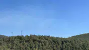 Uşak'ta ormanlık alanda korkutan yangın: Ekipler havadan ve karadan müdahale etti