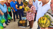 Susuz Tarlanın Bal Tadındaki Sırrı: Altınova’da Kavun Hasadında Kuyruk Yarışı