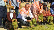 Üzümün başkentinde üretici isyanı: Özgür Özel'den acil müdahale çağrısı