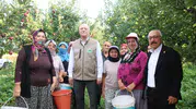 Çivril elma bahçelerinde bereketli hasat: Rekolte beklentisi ikiye katlandı