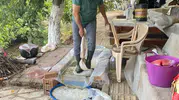 Fabrika üretimine inat asırlık gelenek: Karacasu’da pekmez mesaisi başladı