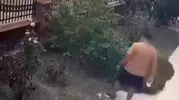 Bayraklı’da vicdansız saldırı: Yavrulu kediye tekme atan şüpheliye ceza yağdı