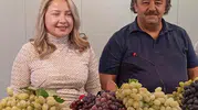 Denizli’nin bağlarında tescilli gurur: Avşar’da festival vakti