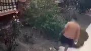 Bayraklı'da vicdansızlık kamerada: Yavrularını korumak isteyen kediye tekme attı