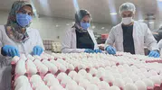 Mutfakların temel gıdası için müjdeli haber: Yumurta fiyatlarında zam beklenmiyor