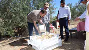 Karacasu’da incir bereketi: Kaymakam Battal tarlada üreticiyle buluştu