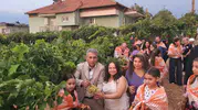 Çal'da sağanak bereketi: Bağbozumu coşkusu Edip Akbayram anısıyla taçlandı