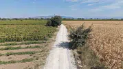 Karaağaçlı’da yüzleri güldüren dokunuş: Çiftçinin yolu açıldı, sokaklar yenilendi