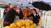 Muğla’nın bereketli toprakları ödüllü kavunlarla taçlandı