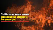 Fransa'da Yılın Başından Beri 12 Bin 845 Yangın, 61 Bin Hektarlık Alanı Ateşe Verdiydi!