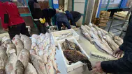 Buca'da kaçak avcılığa ağır darbe: 45 kilo balık imha edildi