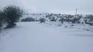 Manisa'nın zirvelerine kışın ilk müjdesi: Beyaz örtüyle tanıştılar