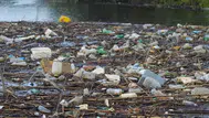 Menderes Nehri için seferberlik: Boş ambalajı getirene gübre hediye