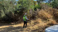 Bodrum'da yaz mesaisi: Yangın riskine karşı dev temizlik operasyonu
