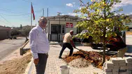 Sultanhisar’da yarınlara nefes olacak seferberlik: Toprak fidanla buluşuyor