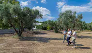 Aliberti Köşkü kent parkına dönüşüyor